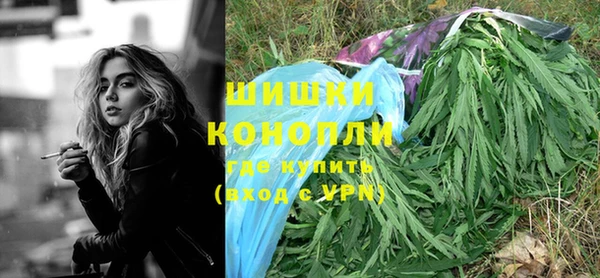 молекула духа Бронницы
