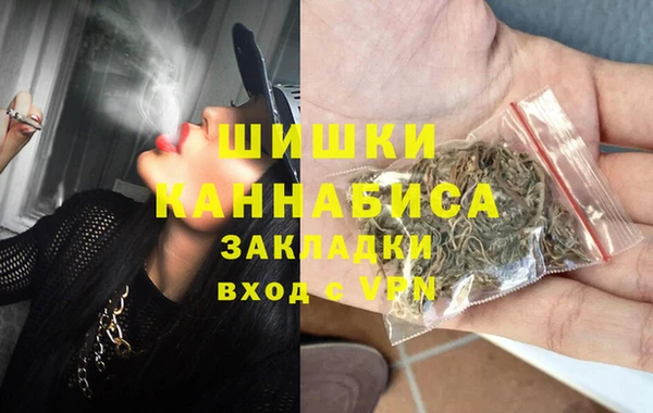 молекула духа Бронницы