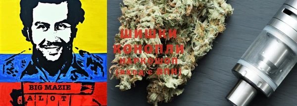молекула духа Бронницы