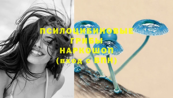 прущие крисы Бугульма