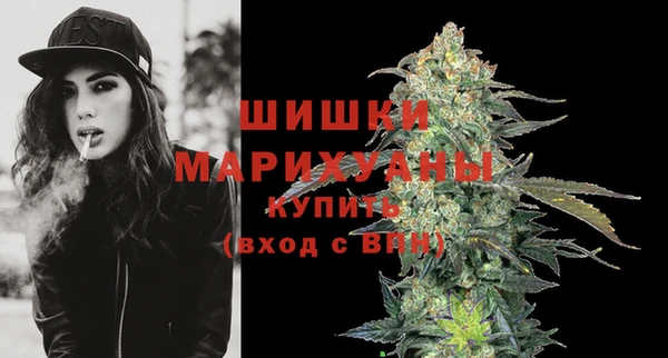 молекула духа Бронницы