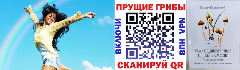 shop состав  Верхнеуральск  Галлюциногенные грибы Psilocybine cubensis 